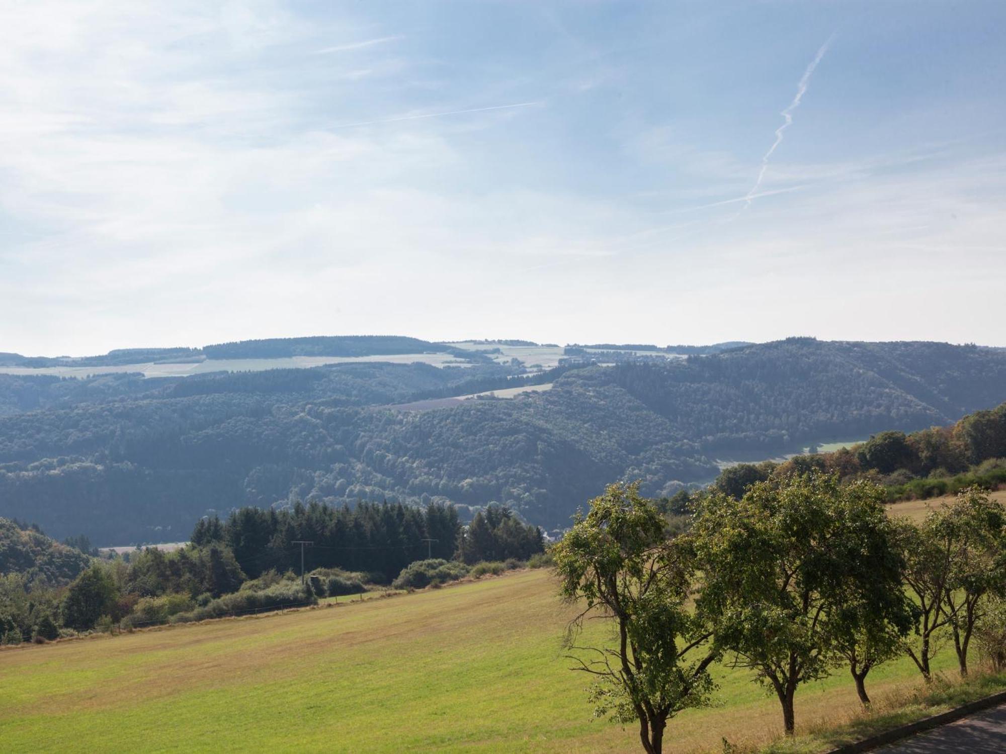 Beautiful Holidayhome With Sauna And Terrace Harscheid Esterno foto